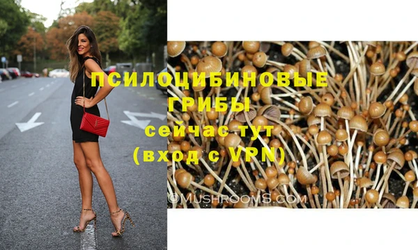 спиды Шарыпово