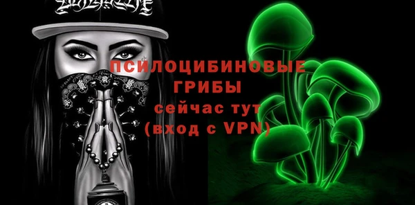 дурь Чердынь