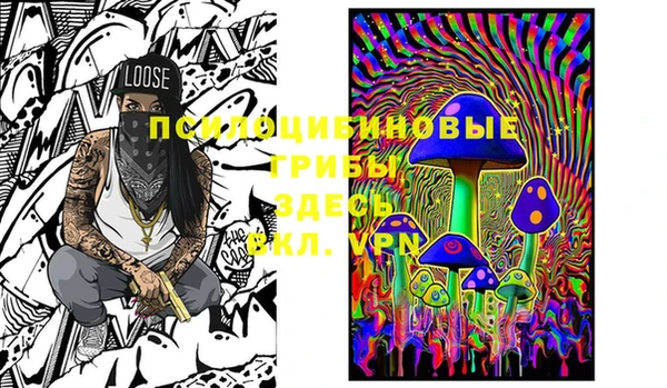 дурь Чердынь